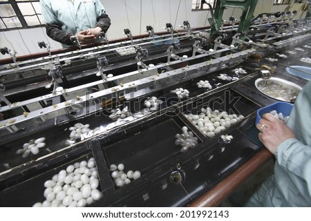 An Image of Silk Factory
