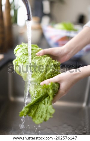 Woman Washing The Vegetables