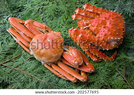 Snow Crab And King Crab