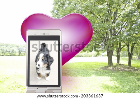 Photo Of Dog Captured In A Mobile Screen