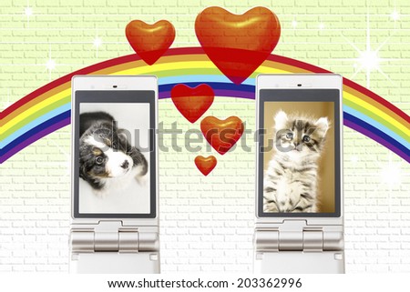Kitten And Puppy Reflected In Mobile Screen
