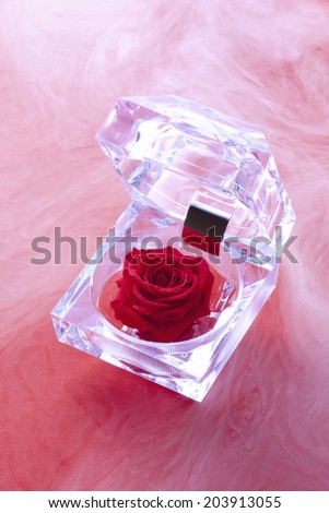 Roses In The Case