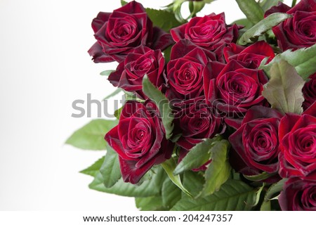 An Image of Rose Black Baccarat