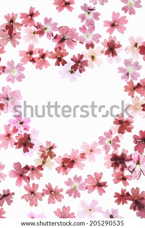 Pressed Flower Of Floret Heart Mark