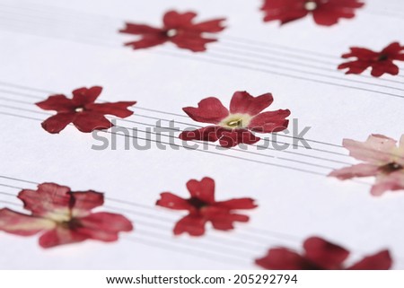 Pressed Flower Of Floret Music Paper