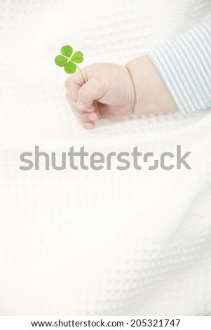 Four-Leaf Clover And Baby Hands