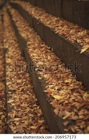 Staircase Of Fallen Leaves Piled Up