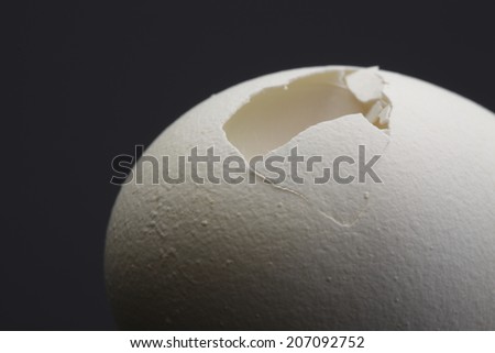 An Image of Broken Egg Cracks