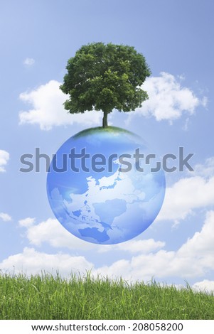 A Tree And Globe