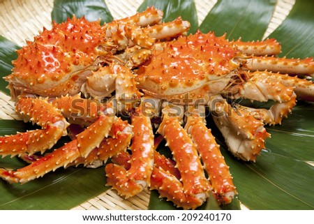 An Image of King Crab