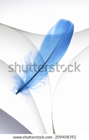 The Texture Of Paper And Blue Wings