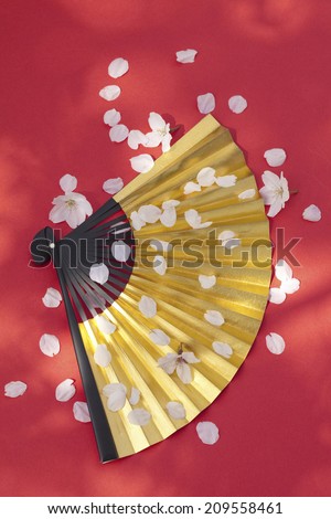 The Petals Of Cherry Blossoms And The Gold Folding Fan