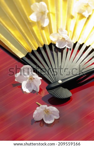 The Petals Of Cherry Blossoms And The Gold Folding Fan