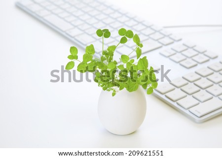 A Keyboard And Egg Plants