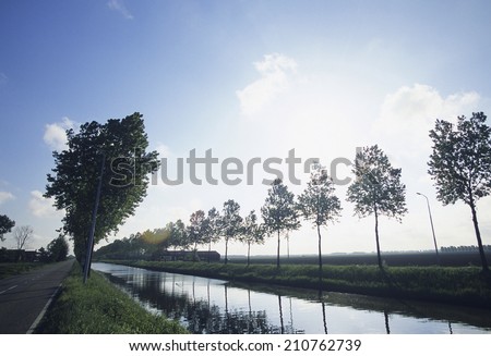 Street Trees Along A Waterway