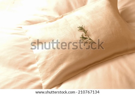 An Image of Pillow Case