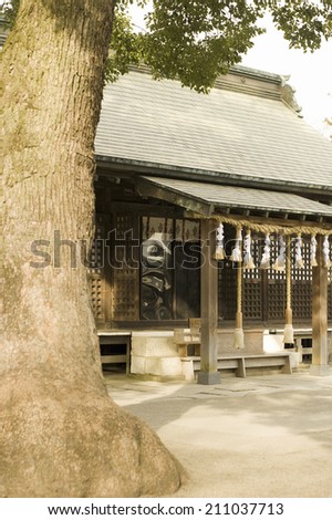 Shrine And A Giant Tree