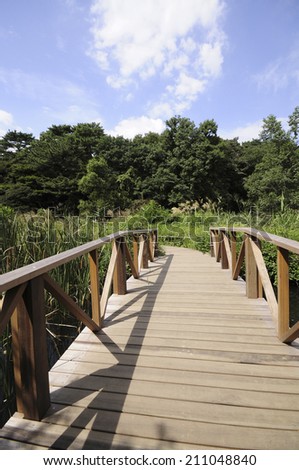 The Bridge In The District Of Nature Study