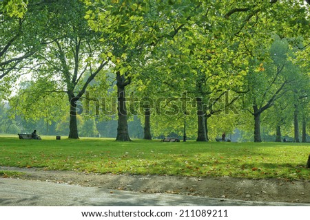 Street Trees Of Green Park