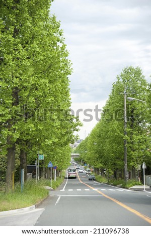Street Trees Of The Utsukushigaoka