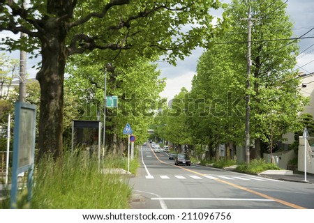 Street Trees Of The Utsukushigaoka