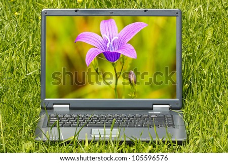 Laptop computer with beautiful flower  on screen
