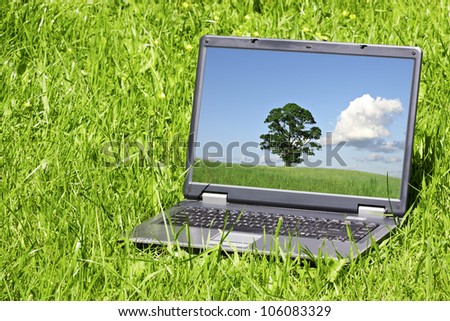 laptop in a green grass on a sunny day