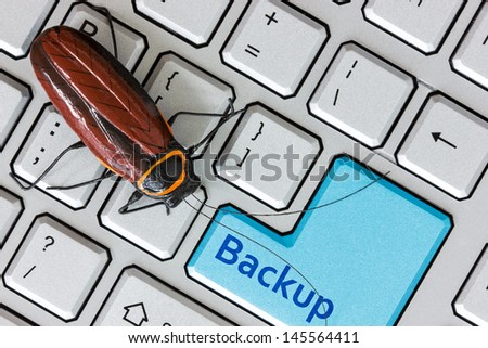 Bug on the  computer keyboard with backup key for archiving and storage