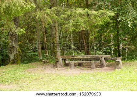 Picnic place in the green forest  at summer day
