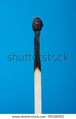 burnt match stick isolated on blue background