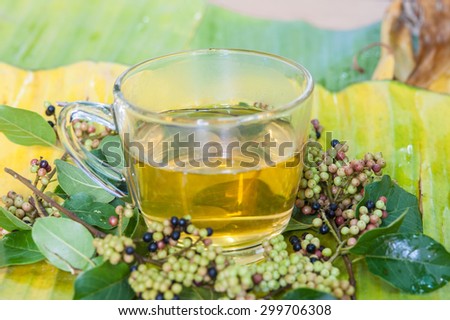 Hot tea herbs