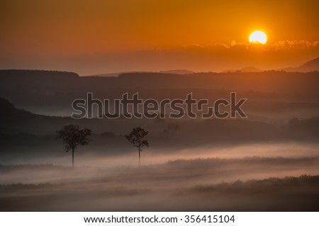 Natural landscape at dawn on a misty and clouded soft diffuse light beautifully.