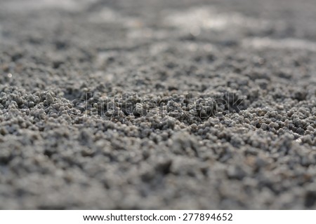 The little hardworking crab rolls balls from sand on a sea beach