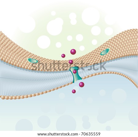 a study of the environment on the cell membrane by dave lima David j stevenson, frank j gunn-moore, paul campbell, kishan dholakia the plasma membrane of a eukaryotic cell is impermeable to most hydrophilic may therefore remain 'closed' to the external environment during dosing although transfection efficiency is not stated in the latter study, it is. a study of the environment on the cell membrane by dave lima David j stevenson, frank j gunn-moore, paul campbell, kishan dholakia the plasma membrane of a eukaryotic cell is impermeable to most hydrophilic may therefore remain 'closed' to the external environment during dosing although transfection efficiency is not stated in the latter study, it is.