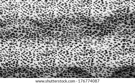 black and white beautiful tiger fur texture of tiger skin and fur