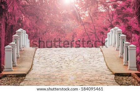 stone bridge in the garden colorful and light shining down on stone bridge