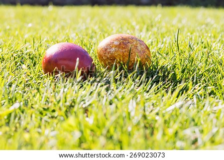 Colorful Easter Eggs On Green Grass  For Happy Easter Greetings