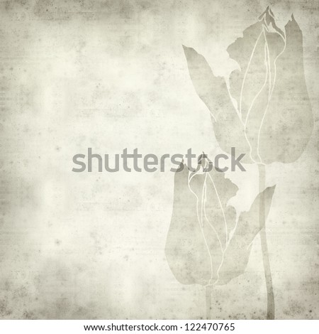 textured old paper background with hand-drawn picture of tulip