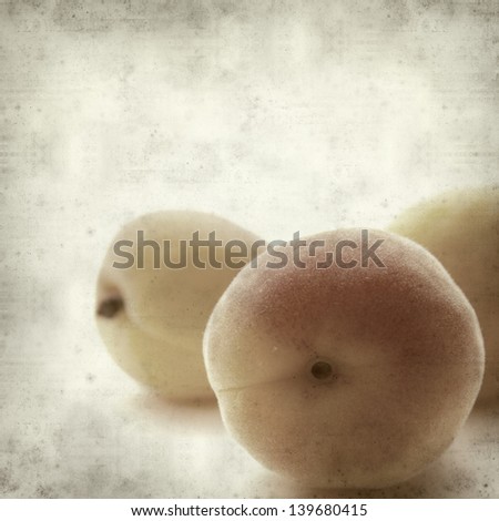 textured old paper background with small ripe apricot