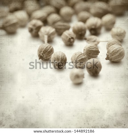 textured old paper background with coriander seeds