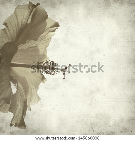 textured old paper background with yellow hibiscus flower