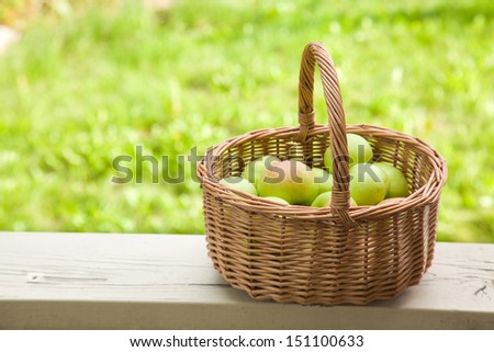 northern summer - basket of green apples on a railing of white porch, trees in the background