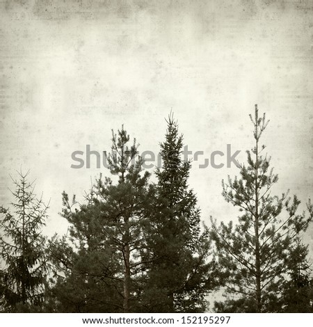 textured old paper background with conifer forest