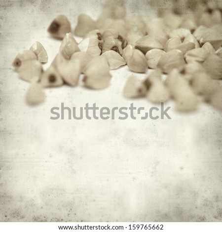 textured old paper background  with scattered buckwheat