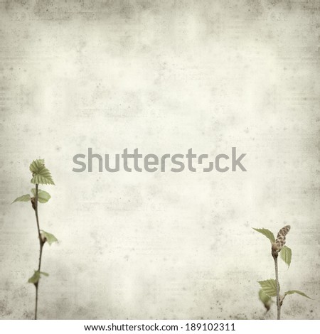 textured old paper background with young spring silver birch foliage
