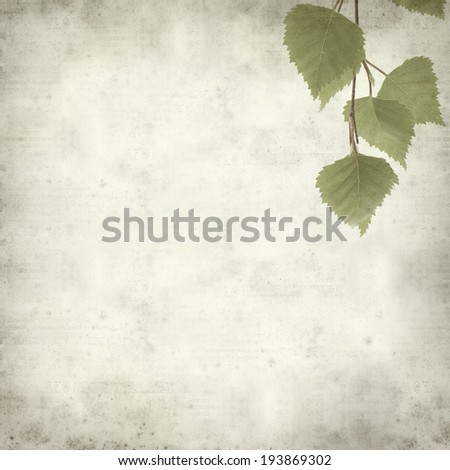 textured old paper background with young birch leaves