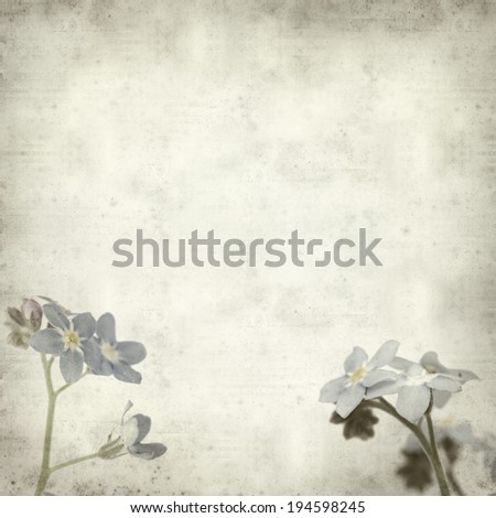 textured old paper background with forget-me-not