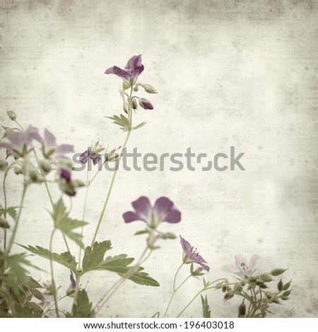 textured old paper background with wild flower bouquet