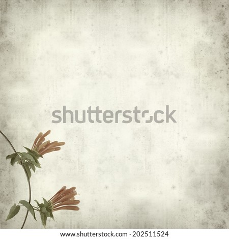 textured old paper background with orange trumpet vine flower