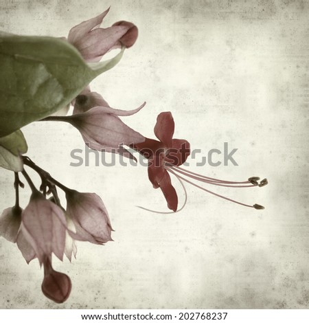 textured old paper background with exotic flower